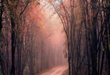 奥亚萨瓦尔：有信心打进国王杯决赛；不在乎外界对我的质疑.