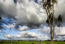 [图]詹姆斯42+17+8库里37分 力克勇士取四连胜.