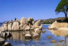 球友会：助球队迎15连胜 加兰率领骑士NBA逆转破网.